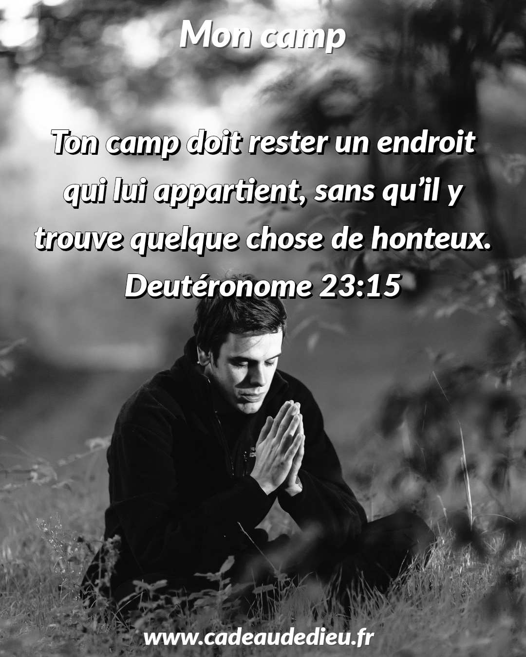 Mon Camp
