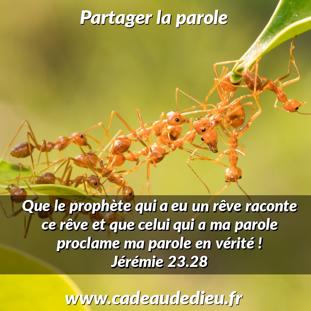 Partager la parole