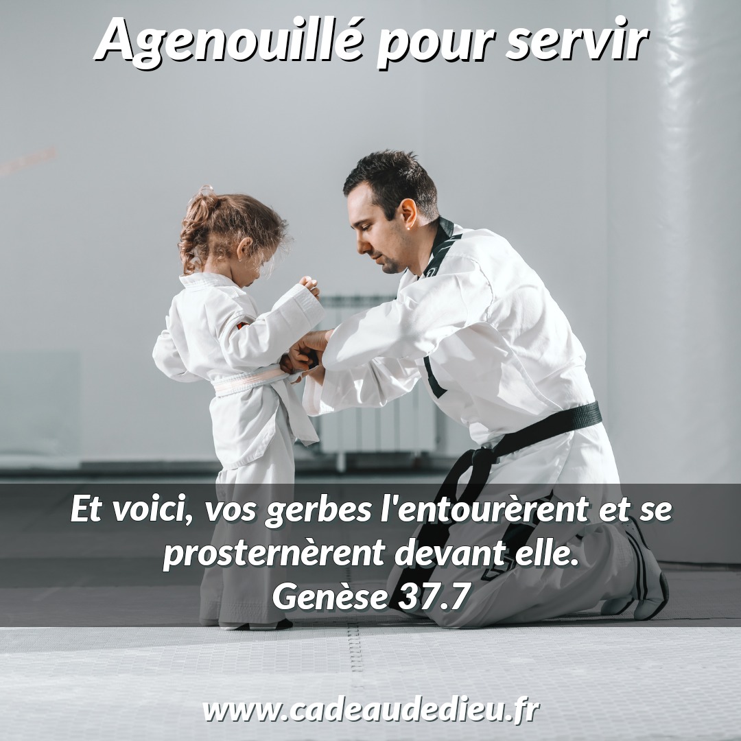 Agenouillé pour servir