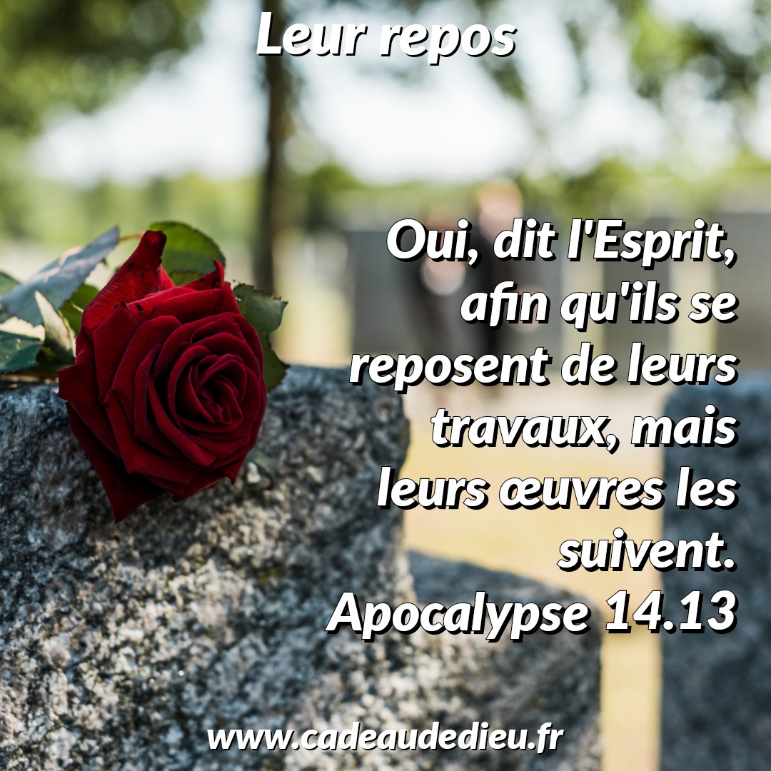 Leur repos