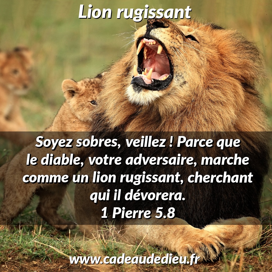 Lion rugissant