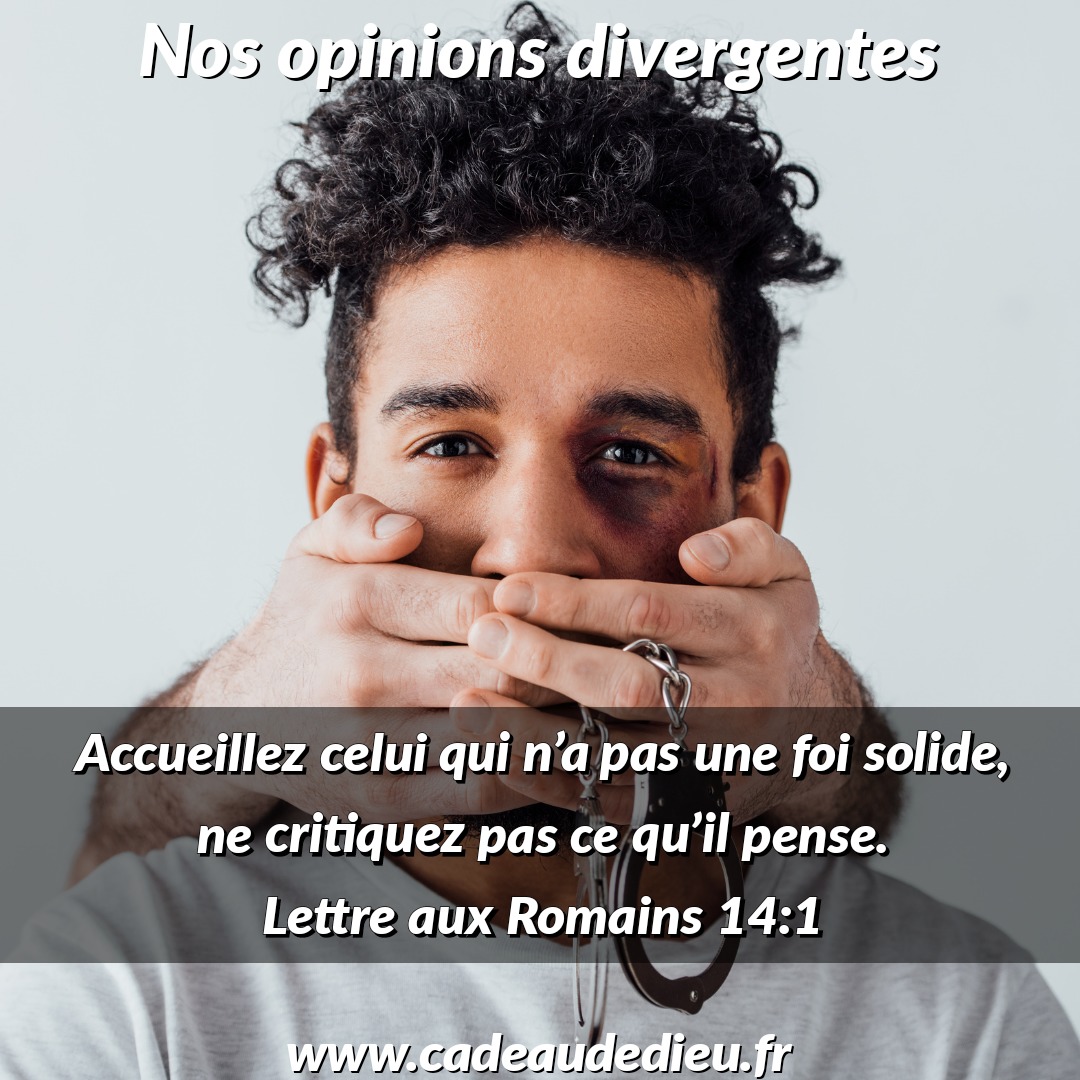 Nos opinions divergentes