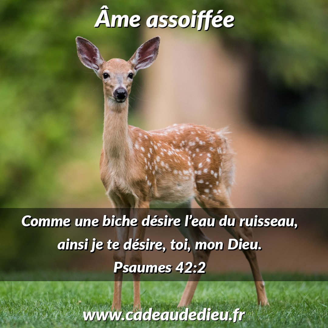 Âme assoiffée