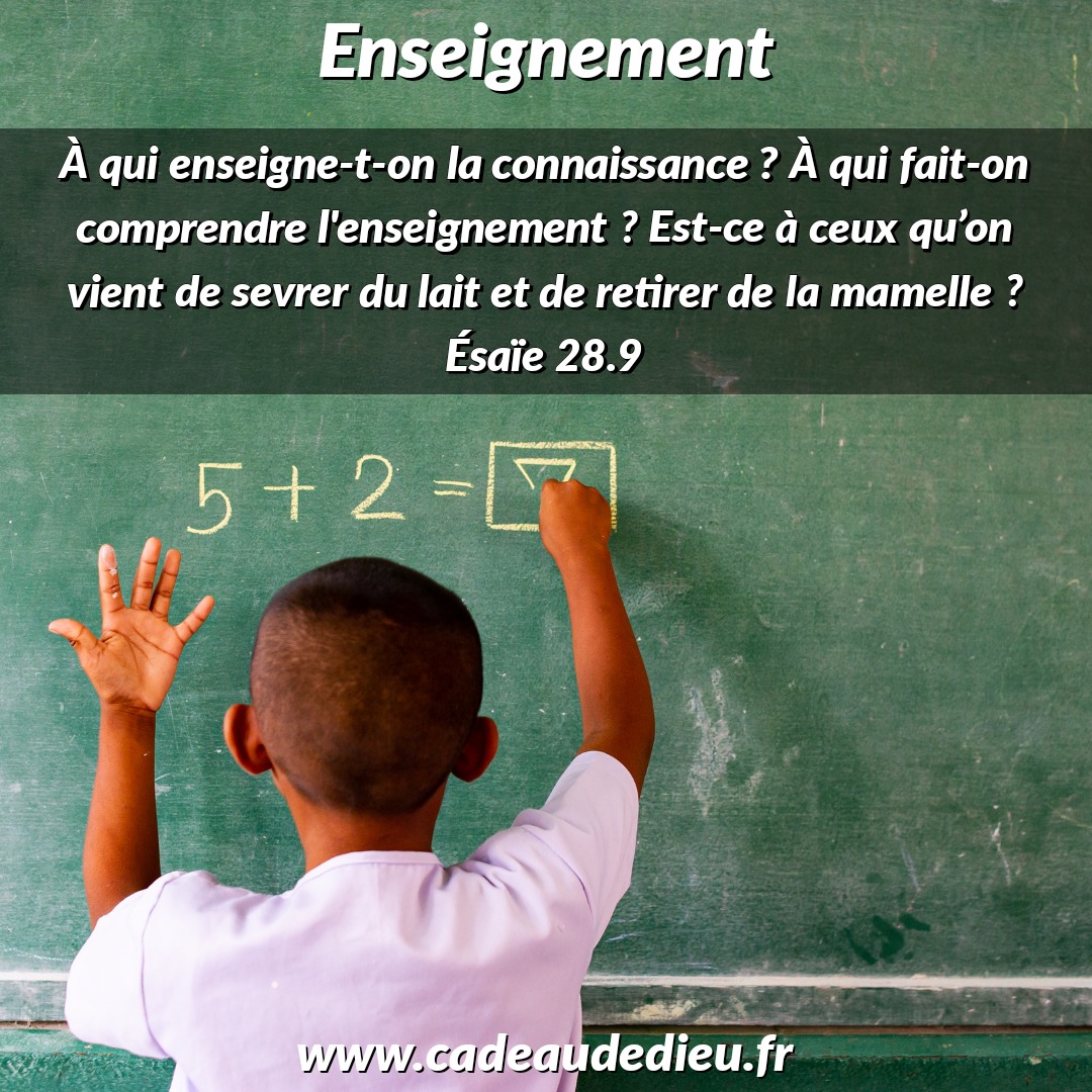 Enseignement