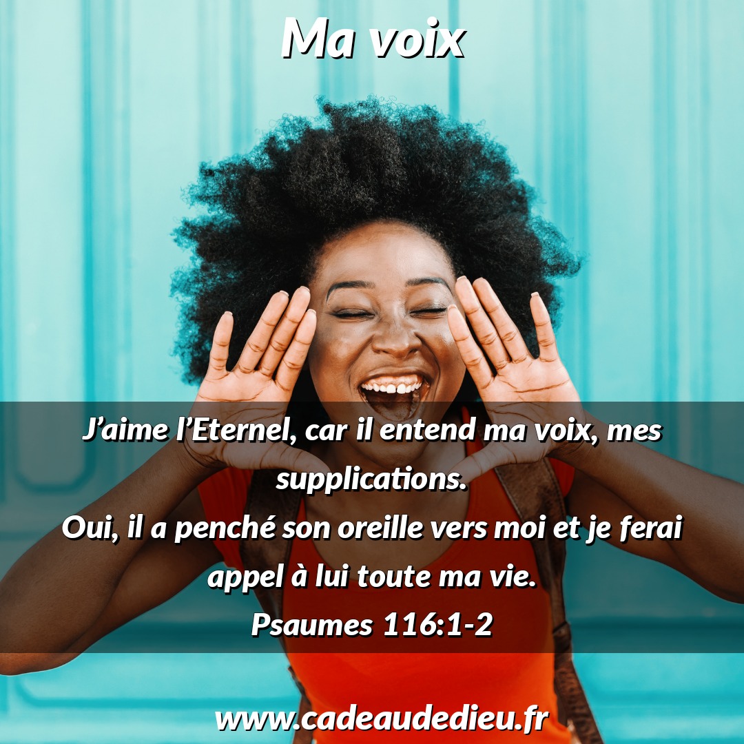Ma voix
