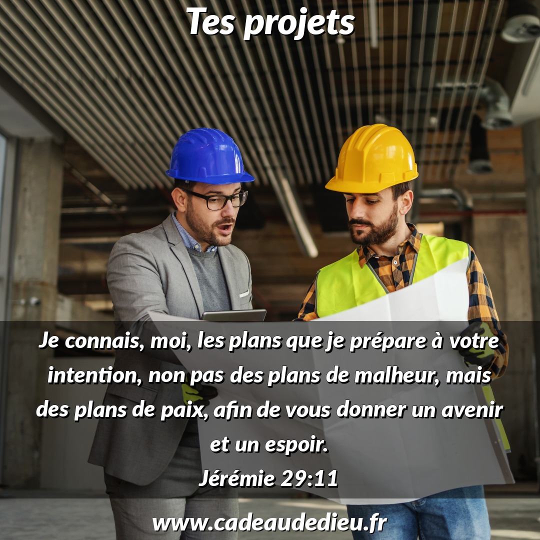 Tes projets