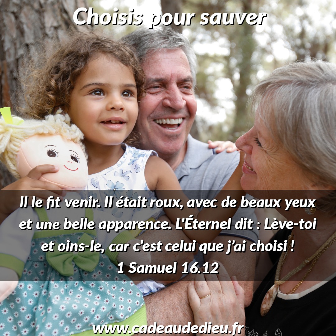 Choisis pour sauver
