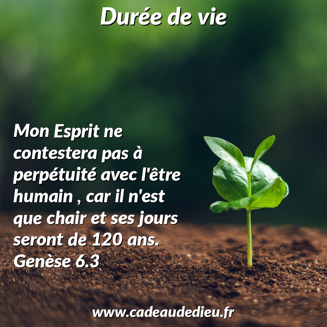 Durée de vie