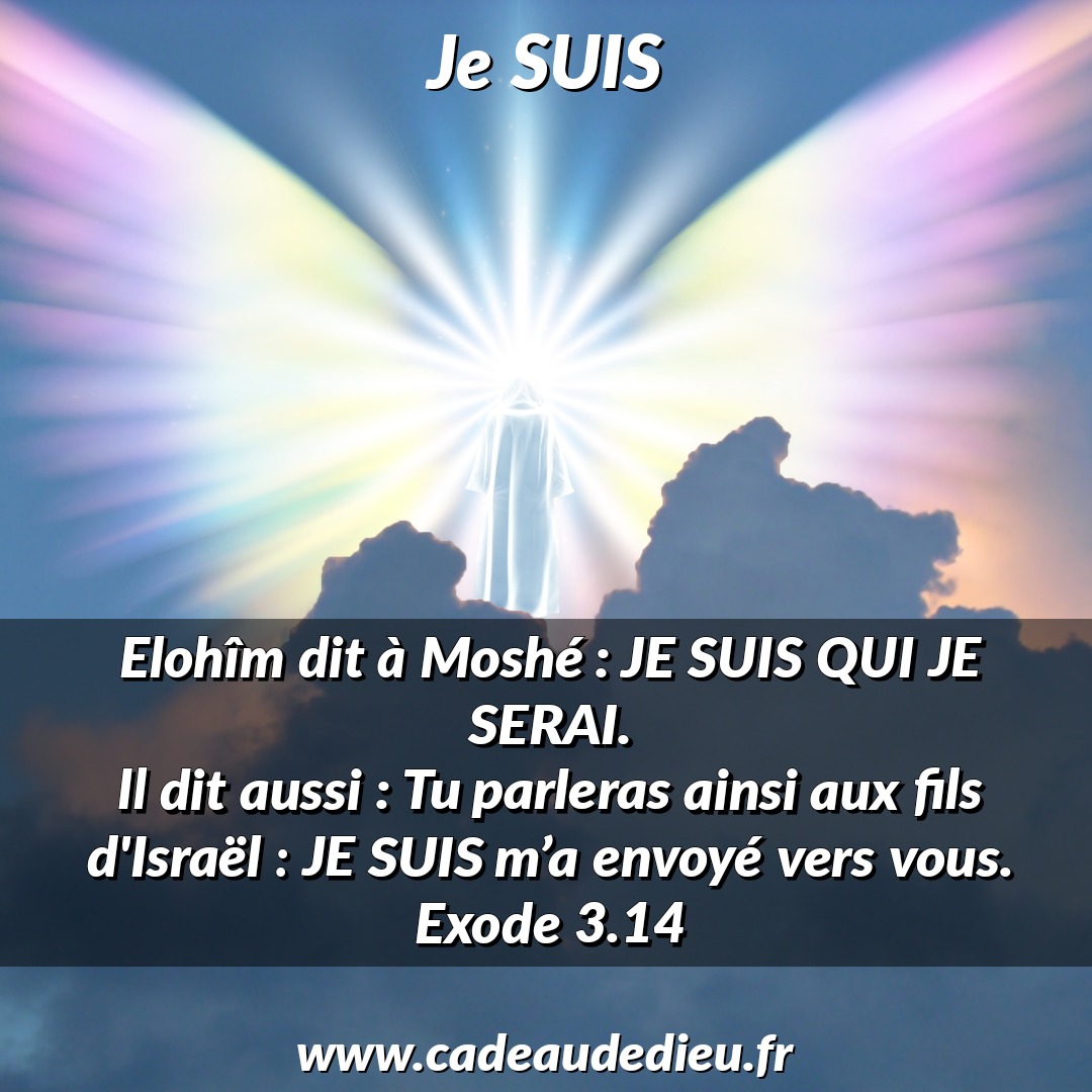 Je SUIS