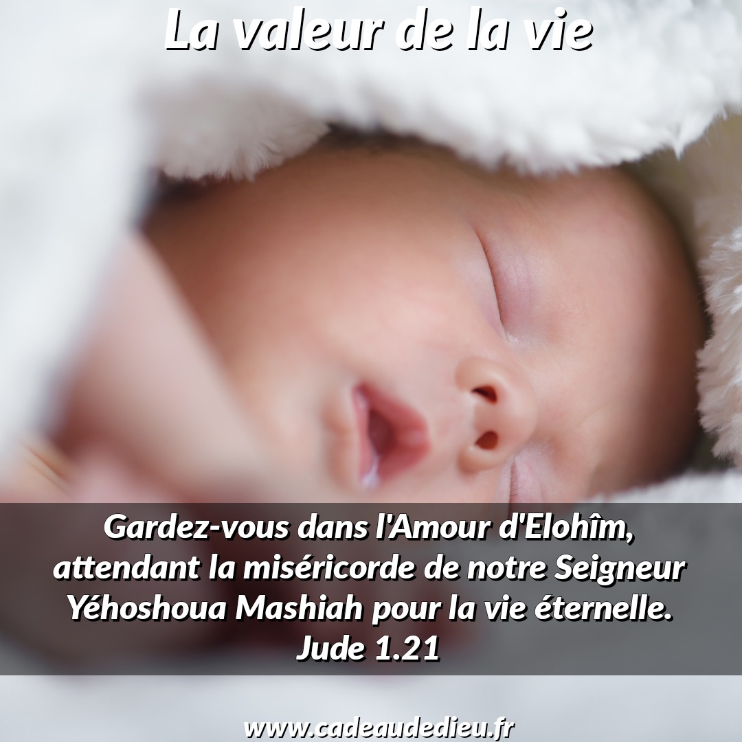La valeur de la vie