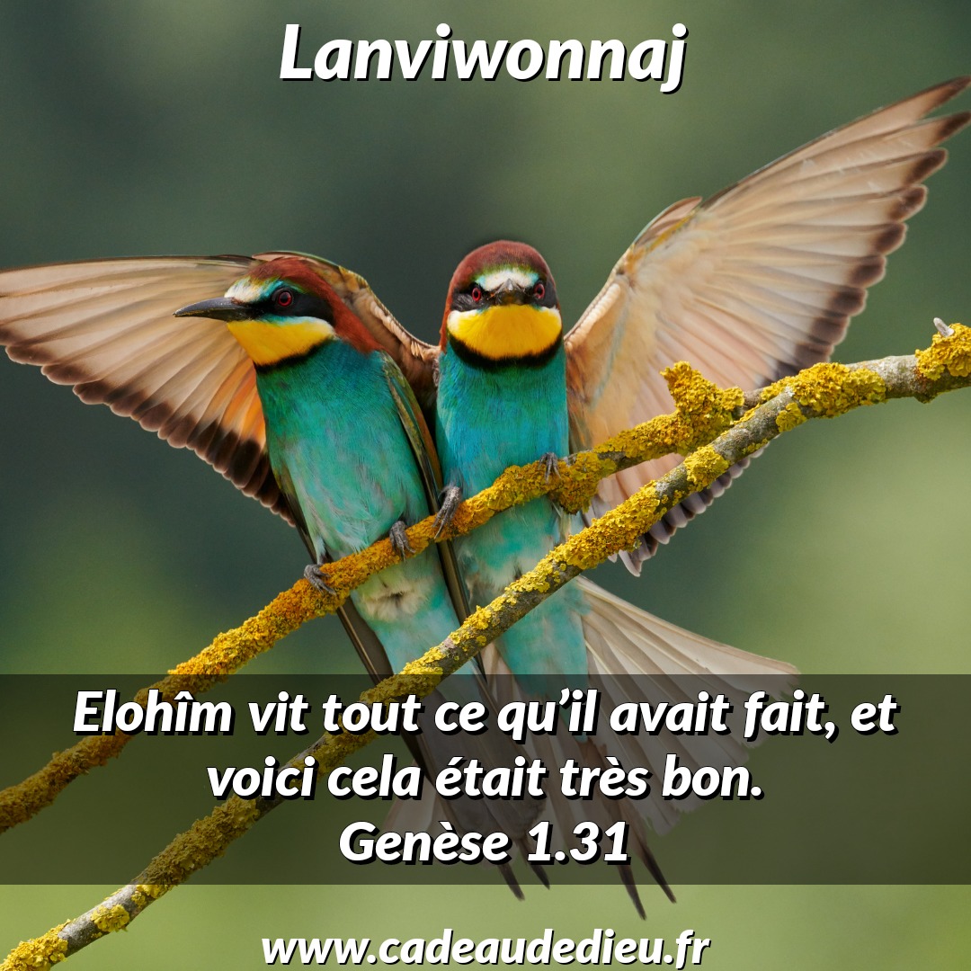 Lanviwonnaj