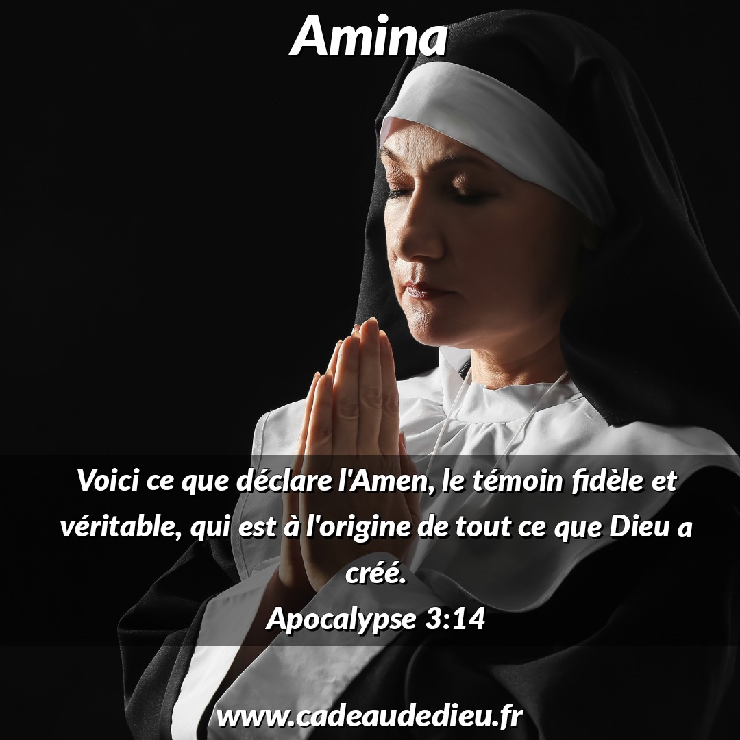 Amina