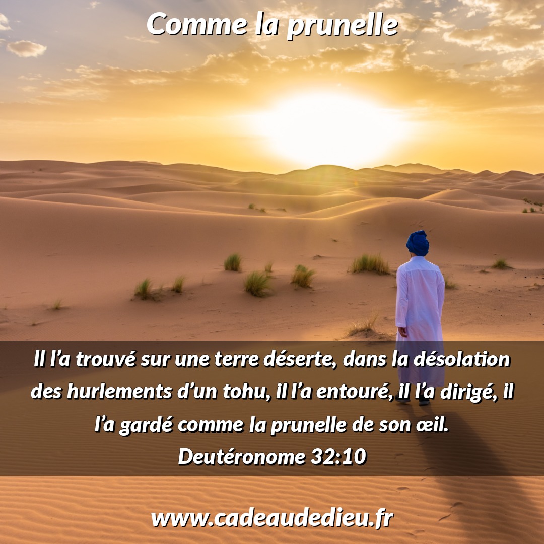 Comme la prunelle