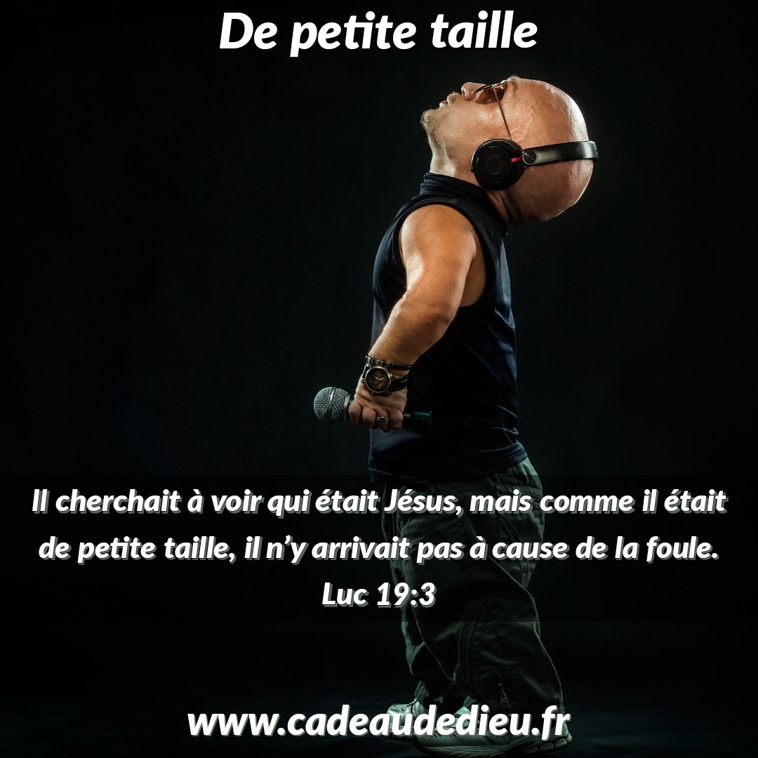 De petite taille