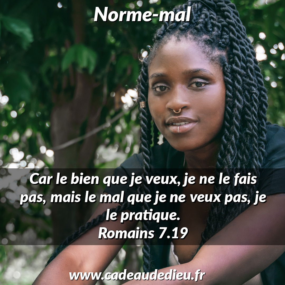 Norme-mal