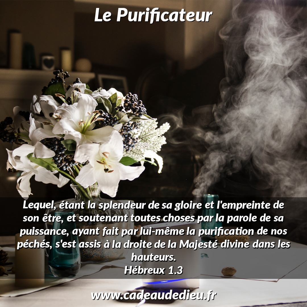 Le Purificateur