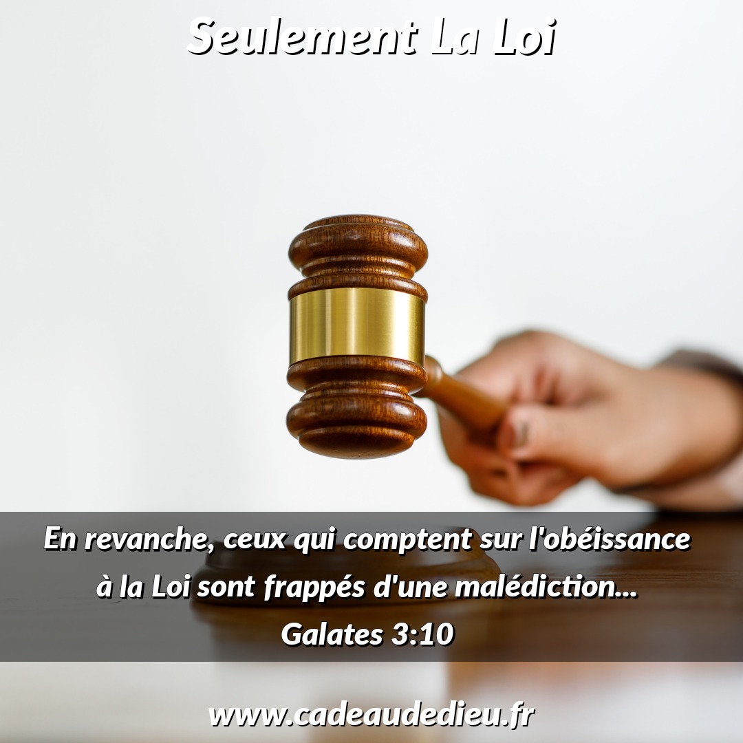 Seulement La Loi