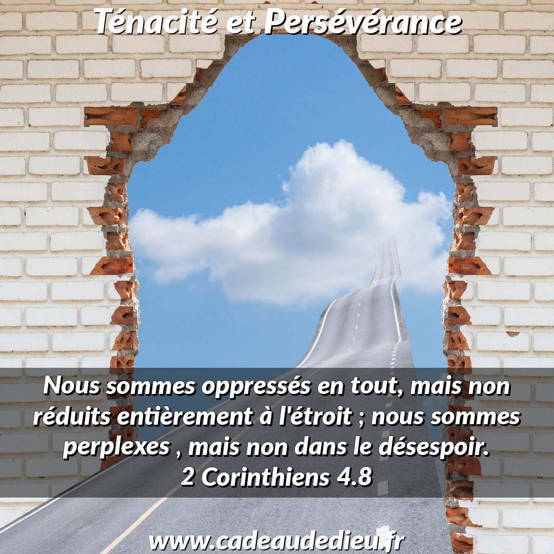 Ténacité et Persévérance