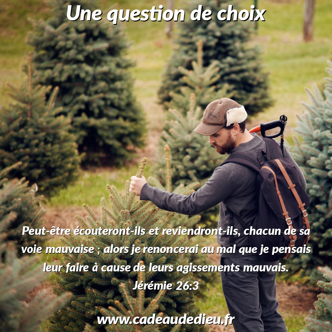 Une question de choix
