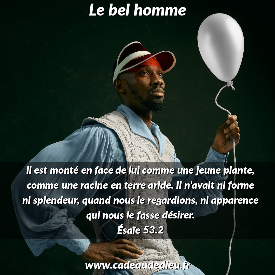 Le bel homme