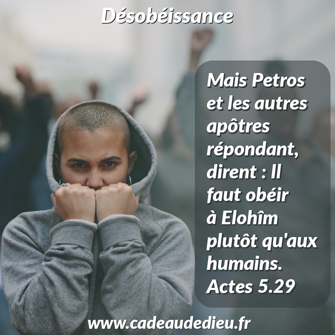 Désobéissance
