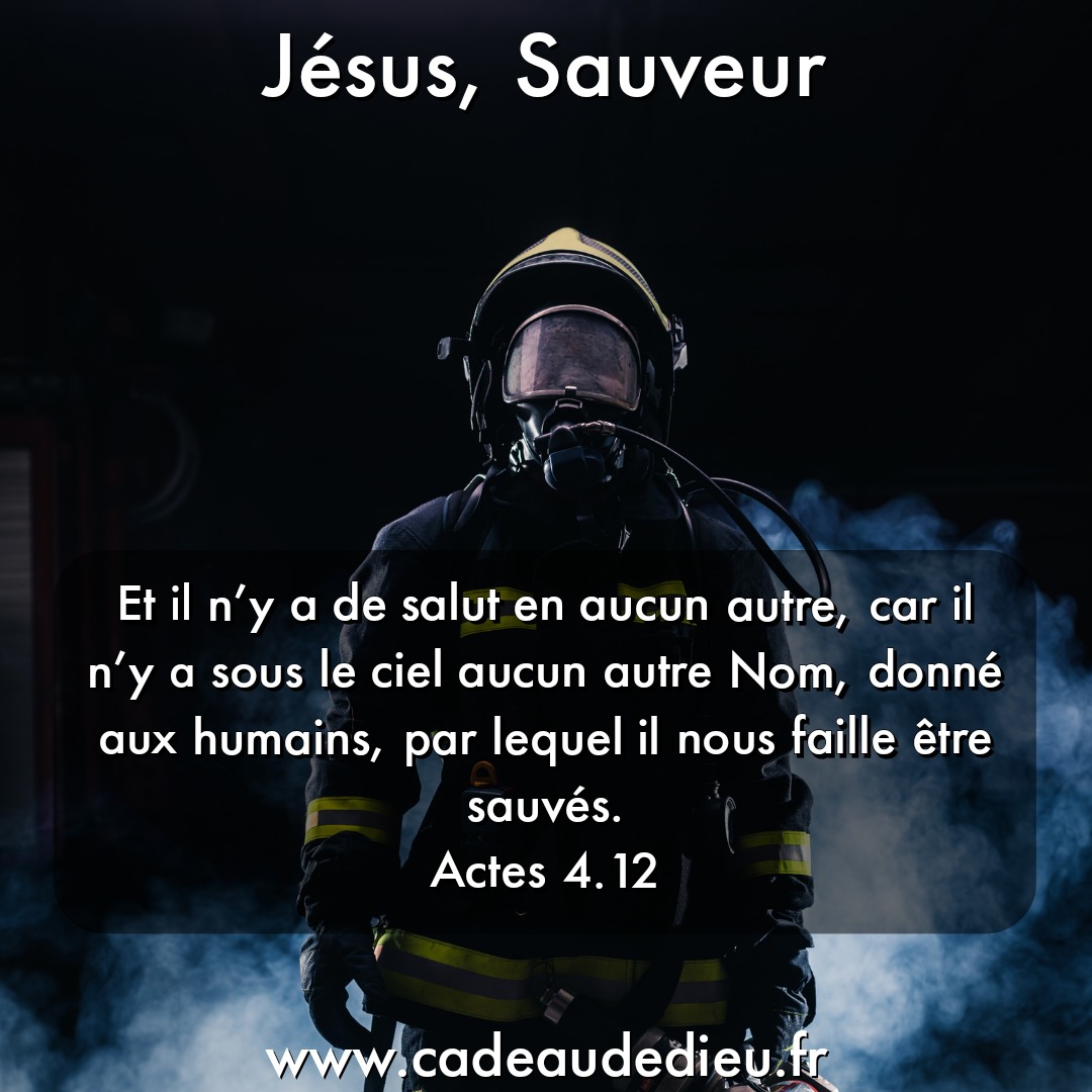 Jésus, Sauveur