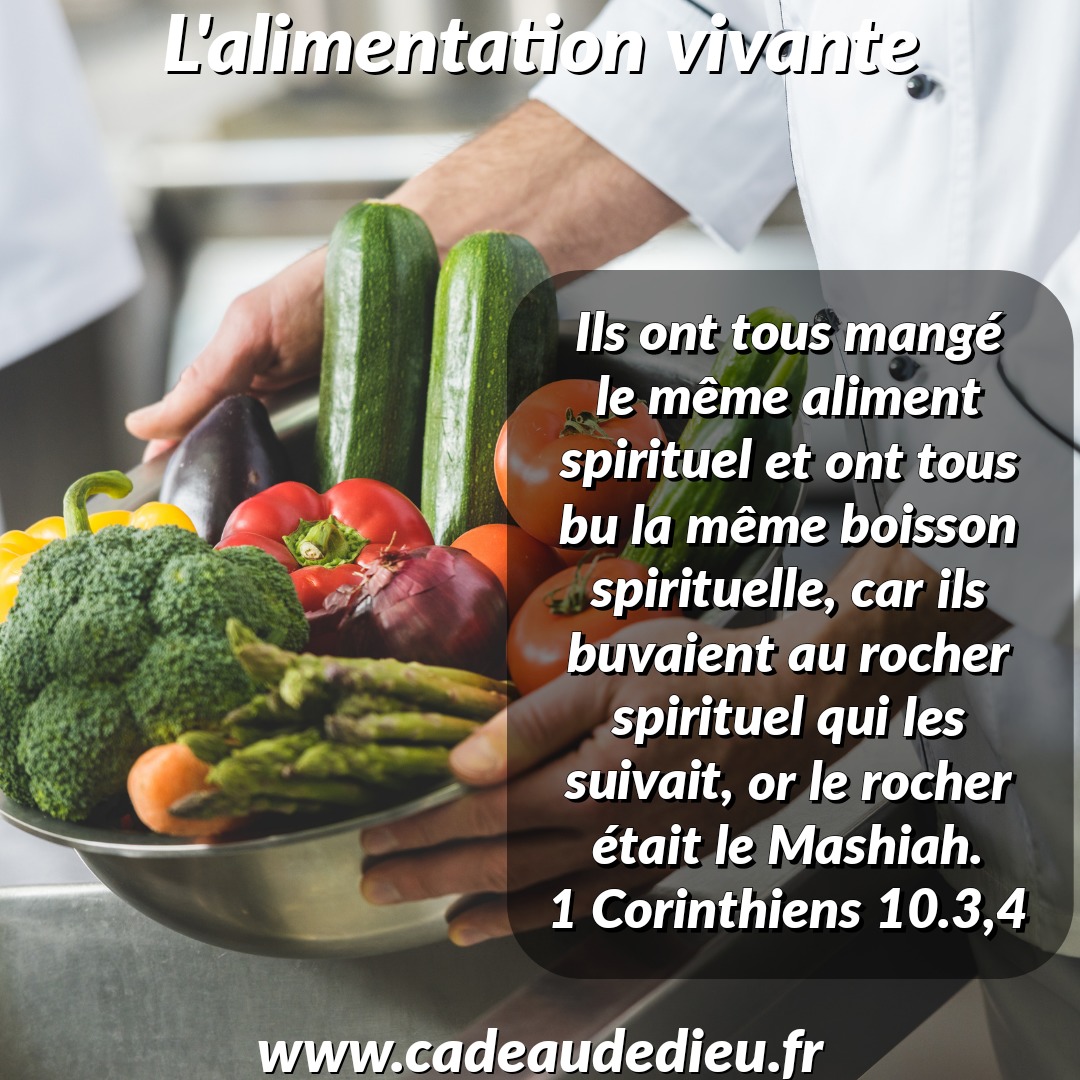 L'alimentation vivante