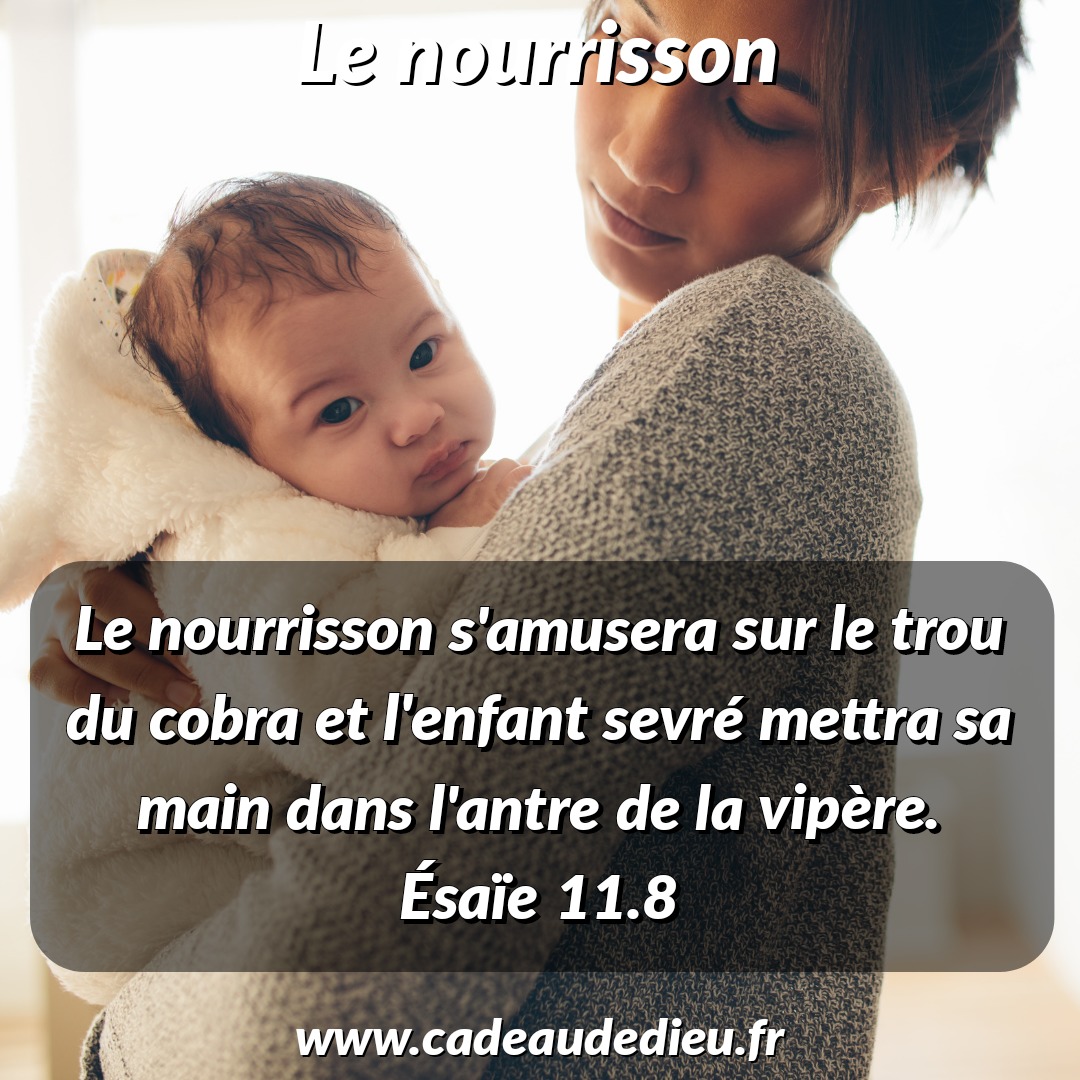 Le nourrisson