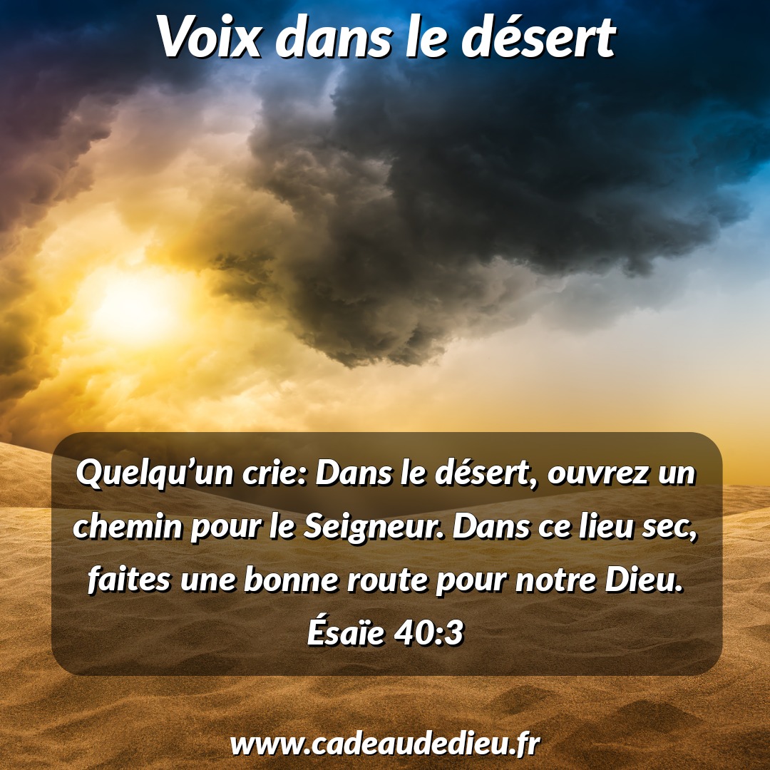 Voix dans le désert