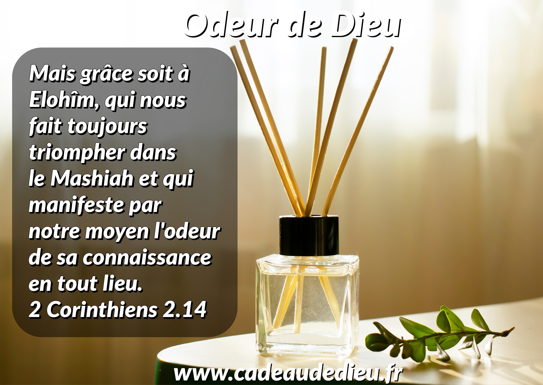 Odeur de Dieu