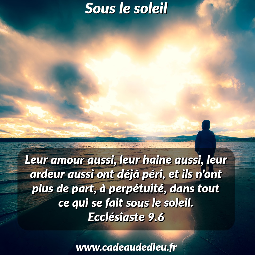 Sous le soleil