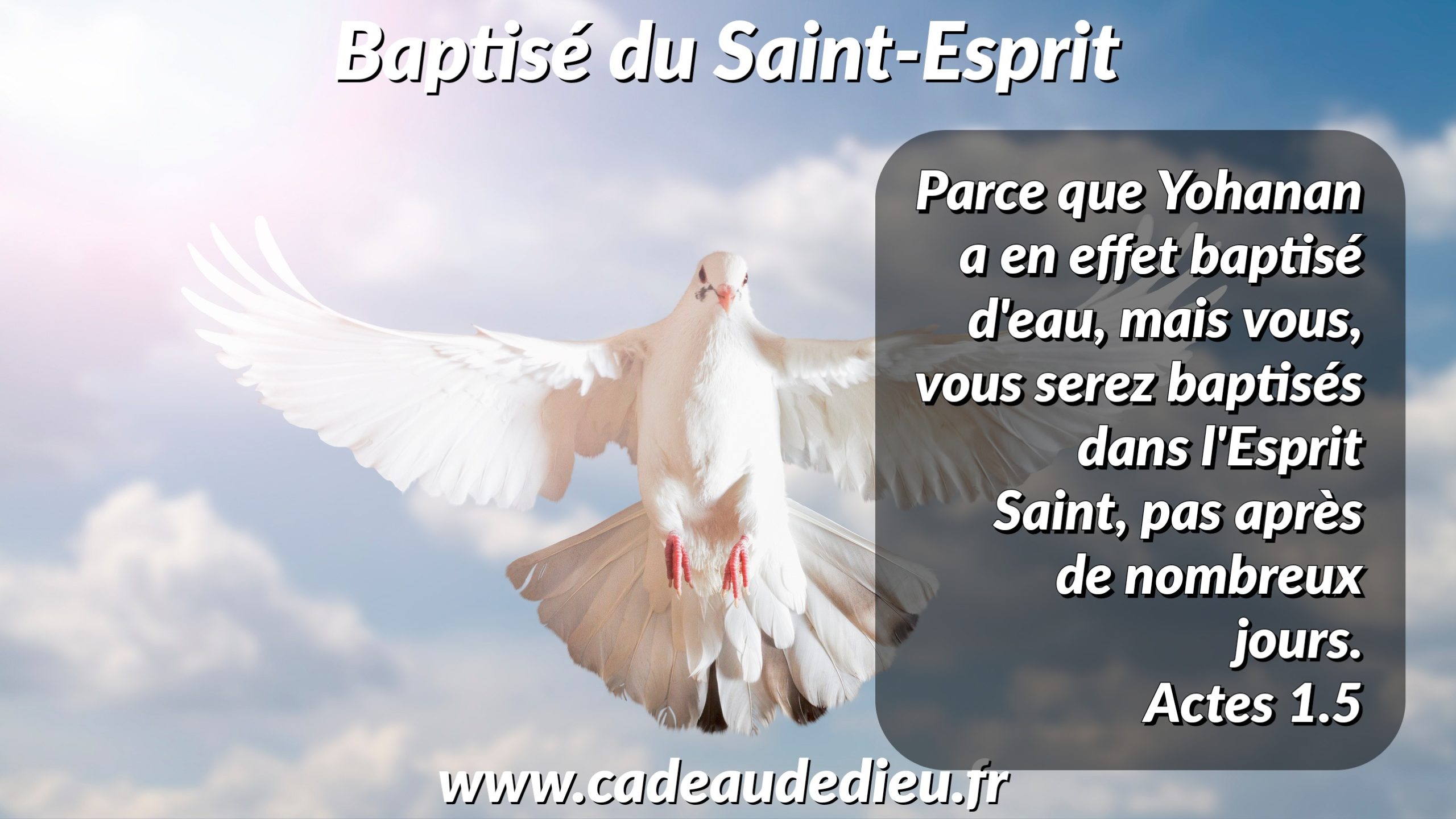 Baptisé du Saint-Esprit