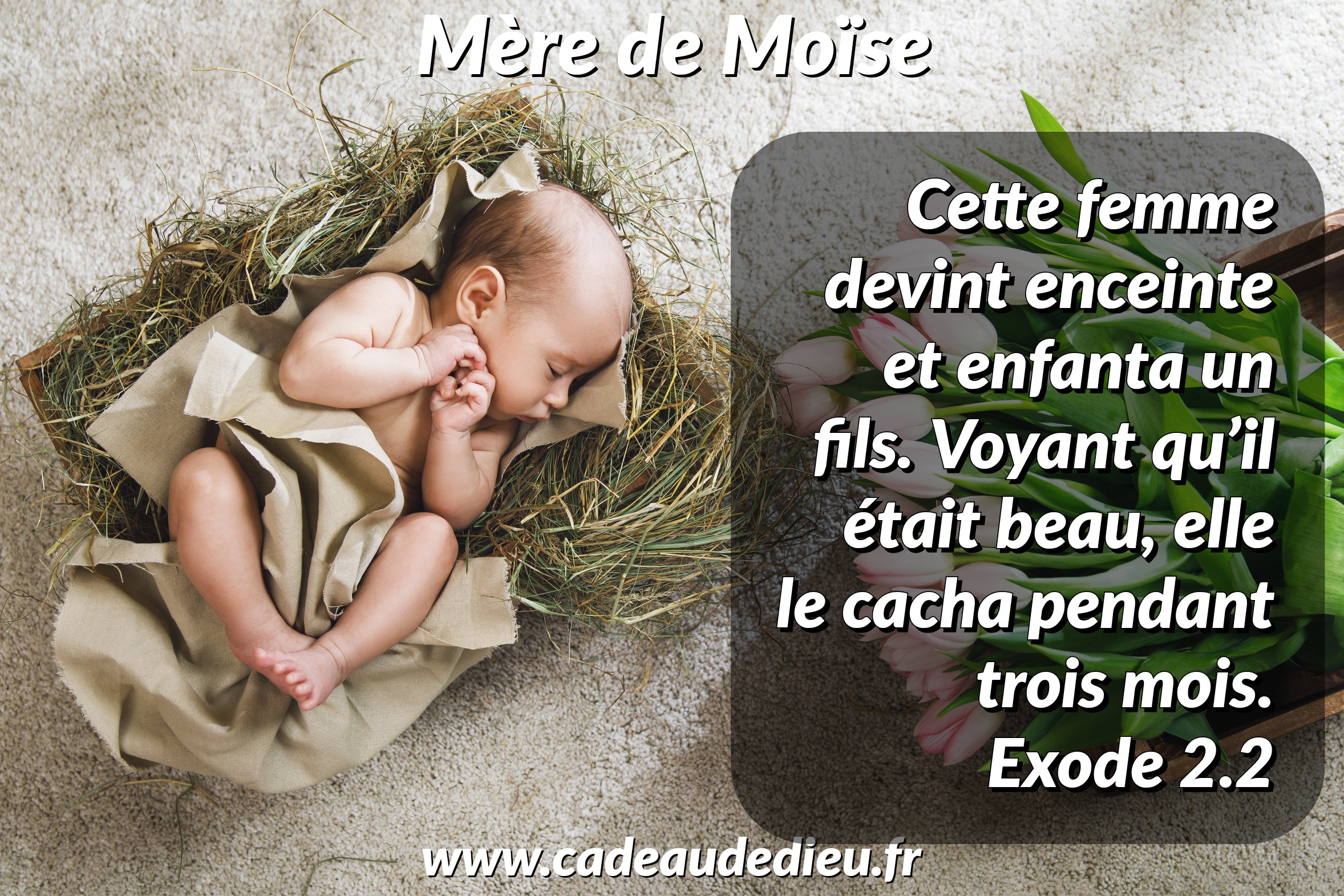 Mère de Moïse