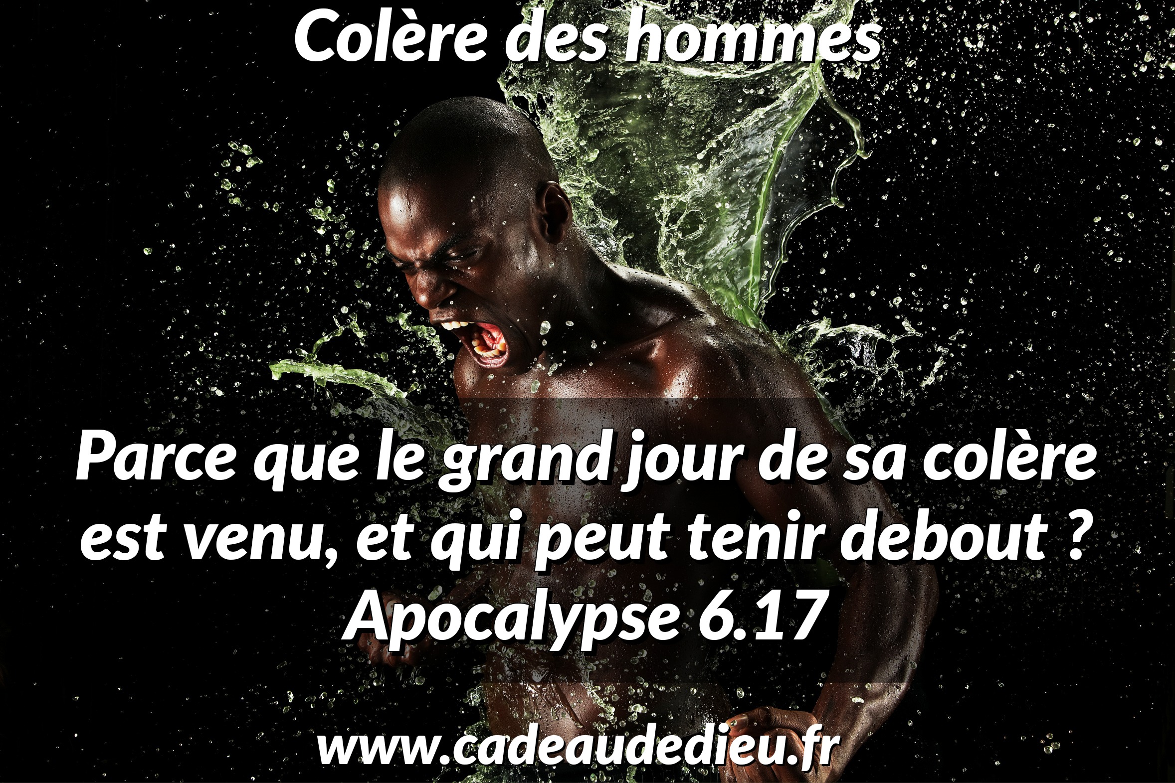 Colère des hommes
