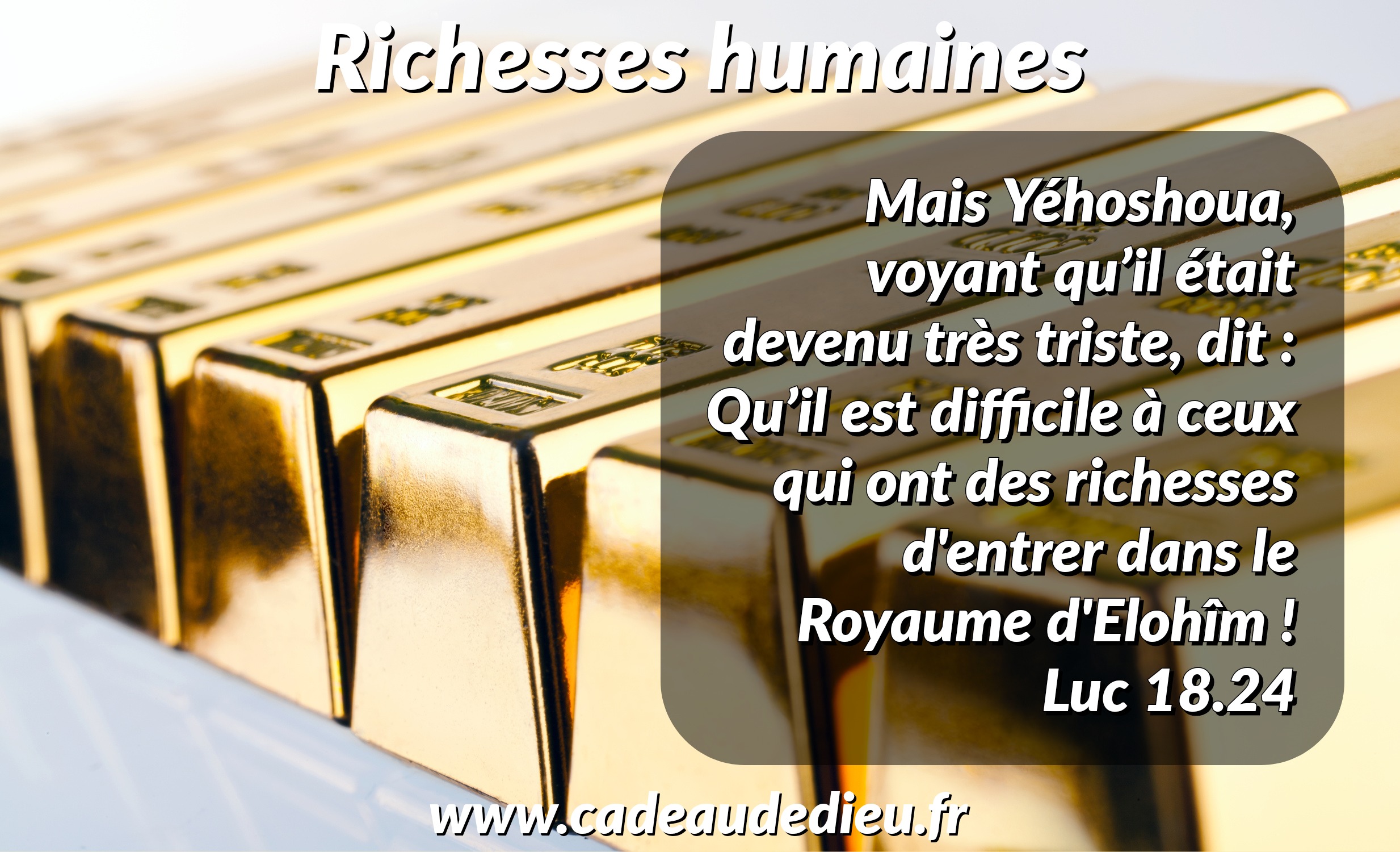 Richesses humaines