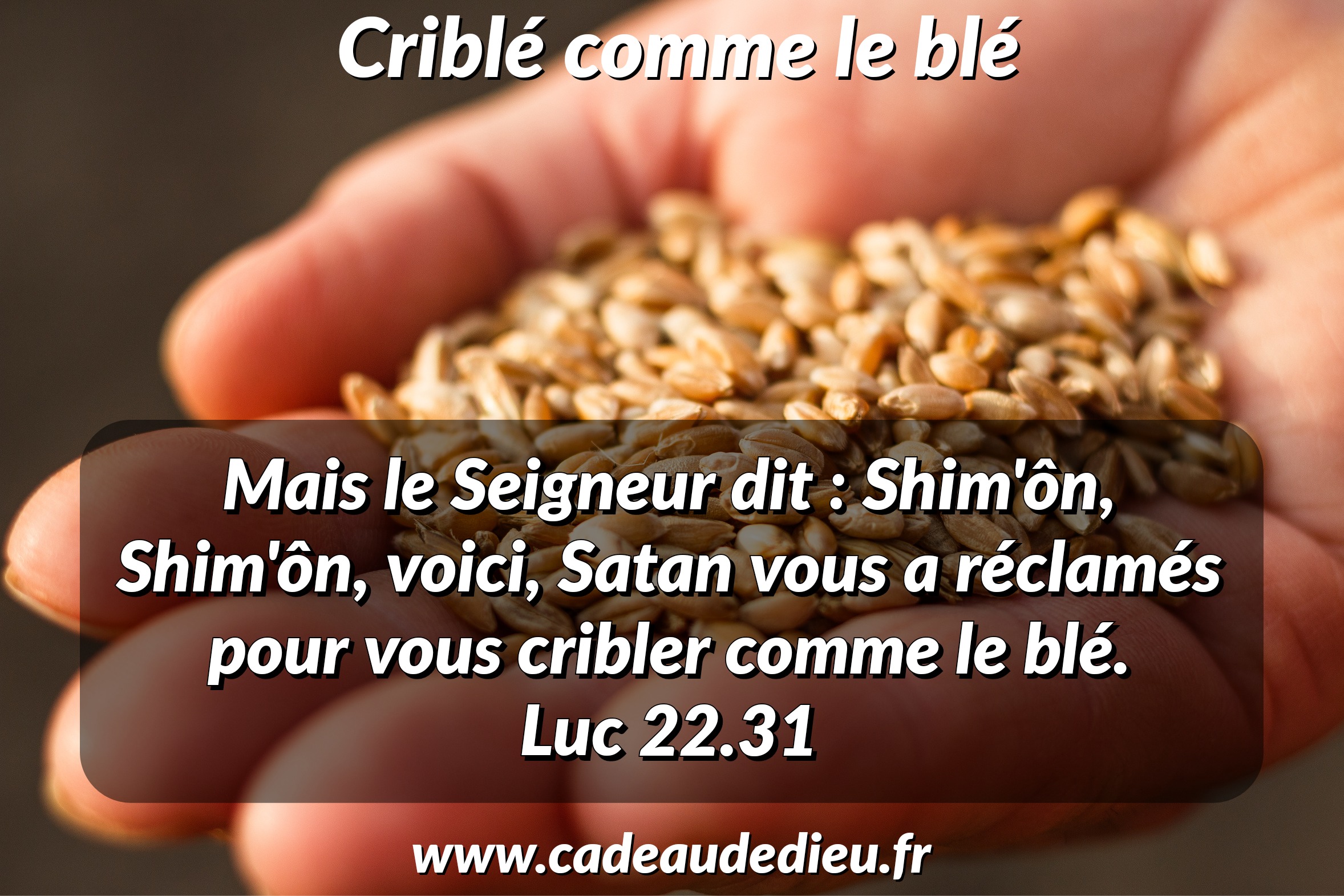 Cribler comme le blé