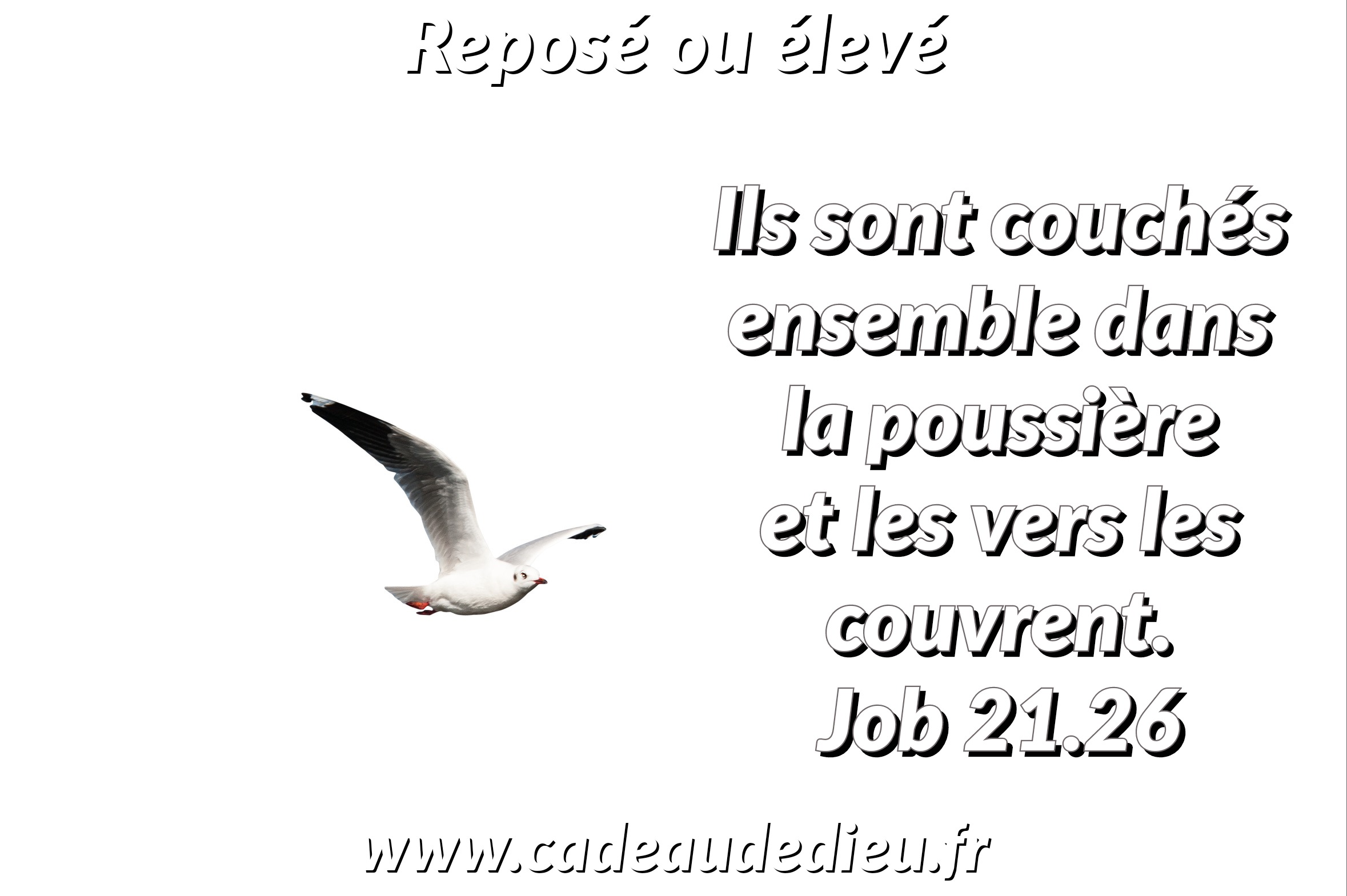 Reposé ou élevé