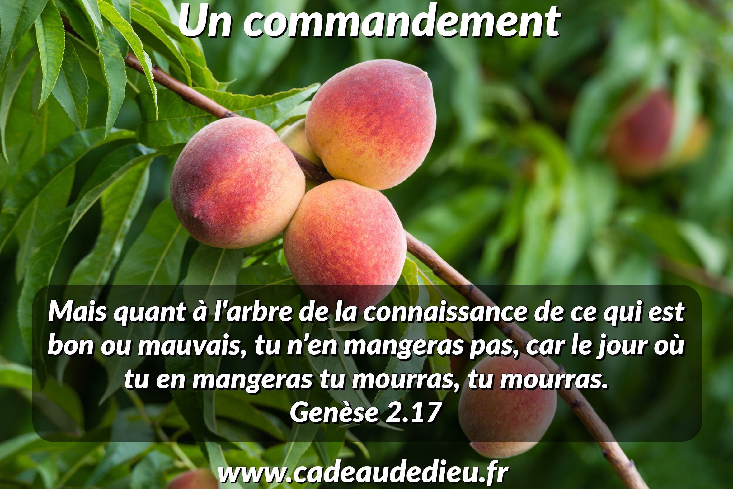 Un commandement
