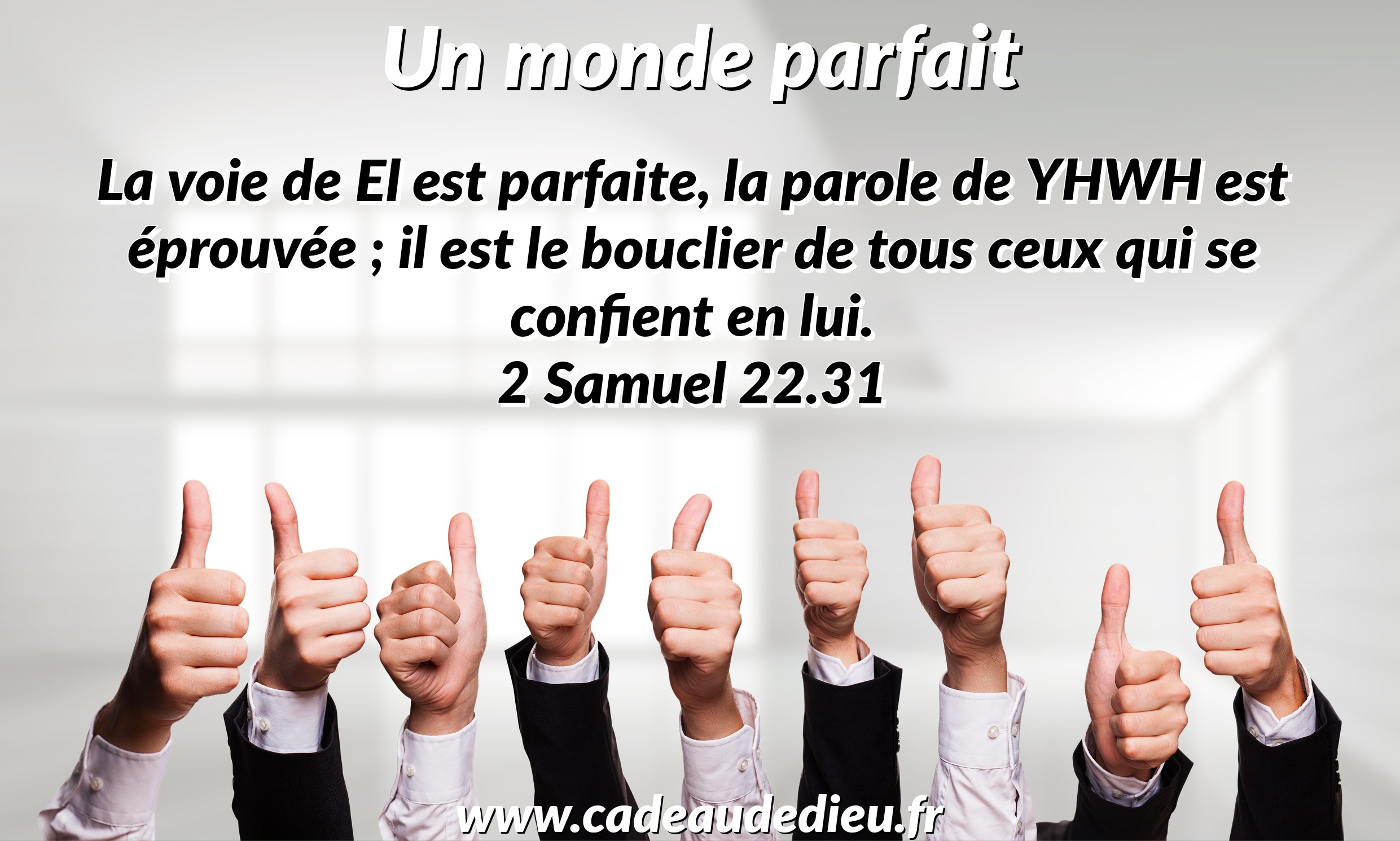 Un monde parfait