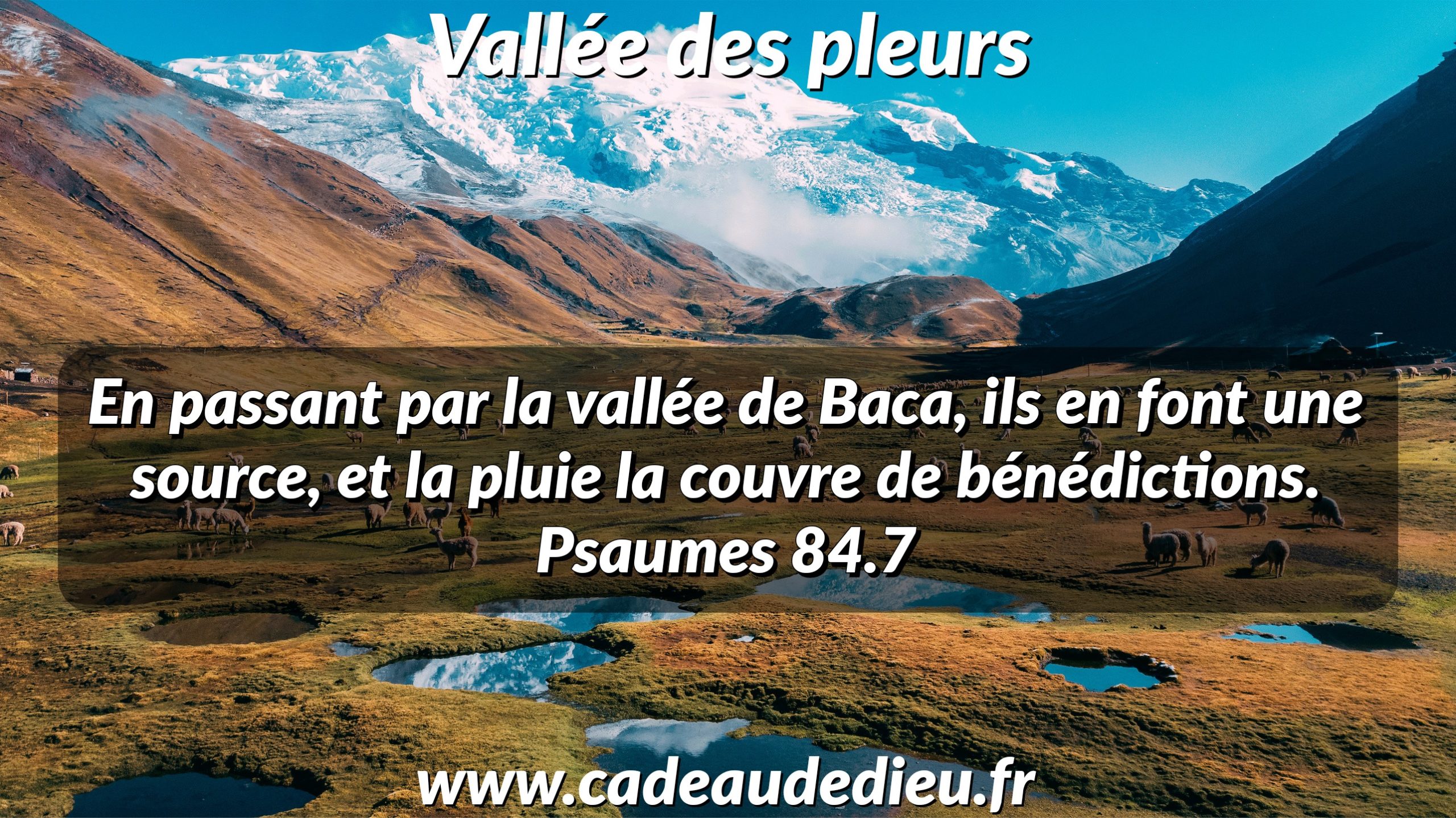 Vallée des pleurs