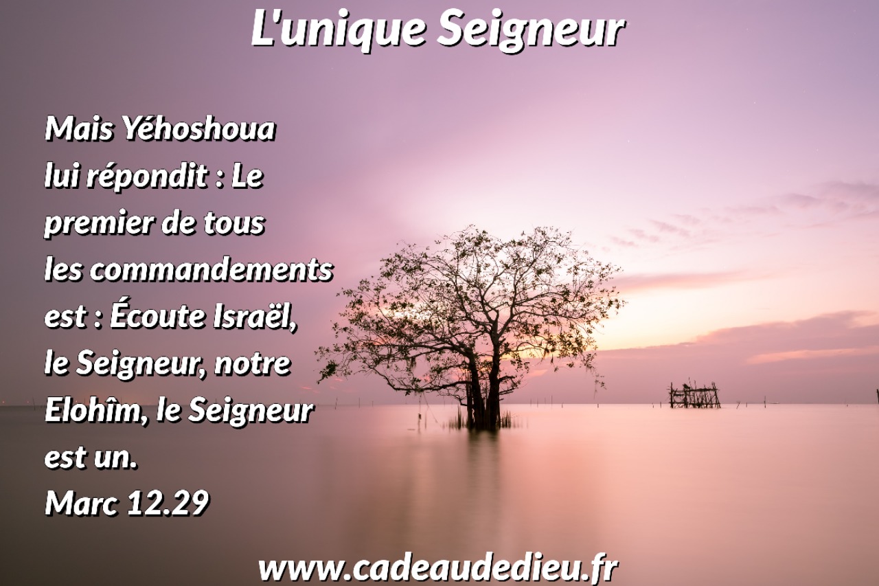 L'unique Seigneur