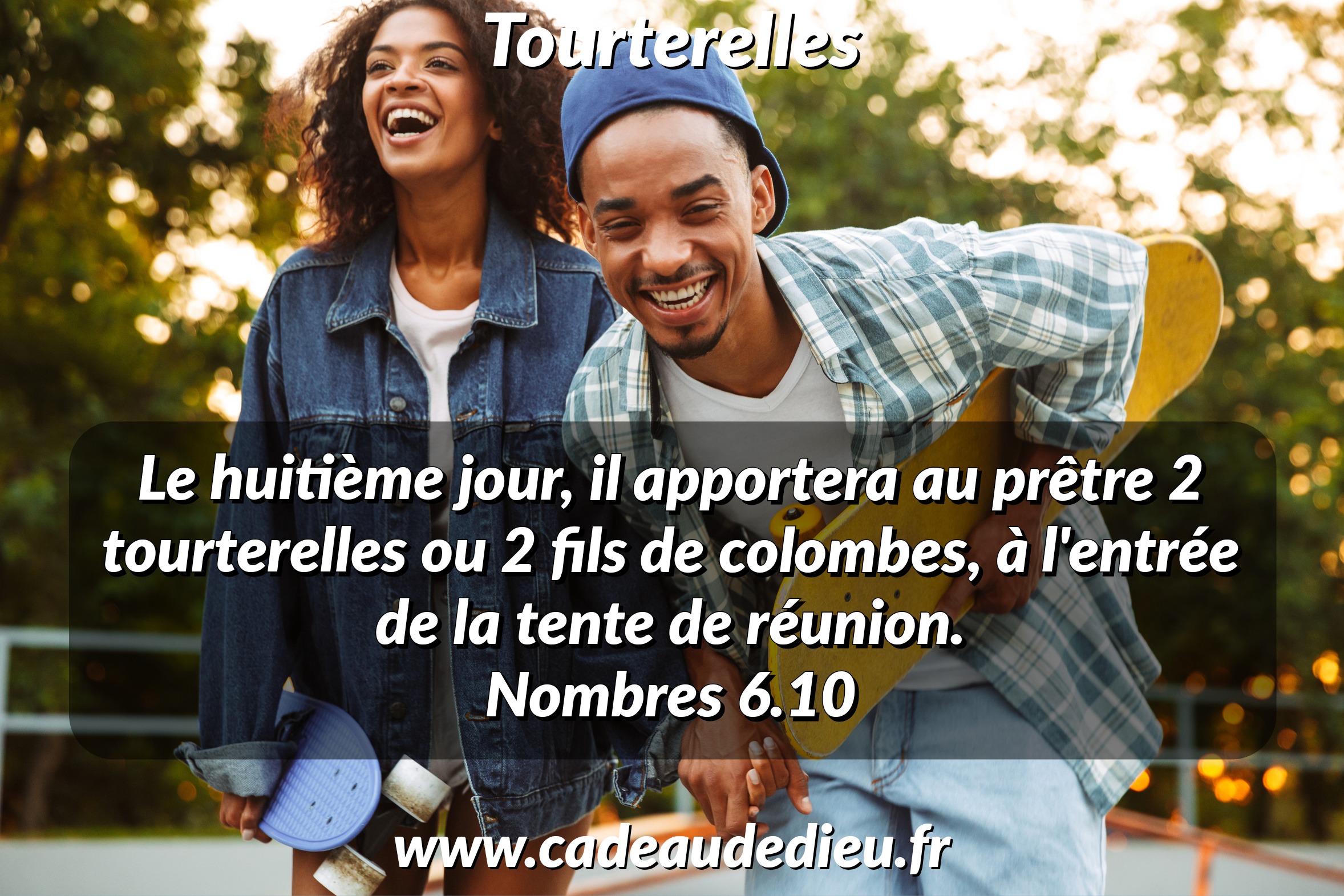 Tourterelles