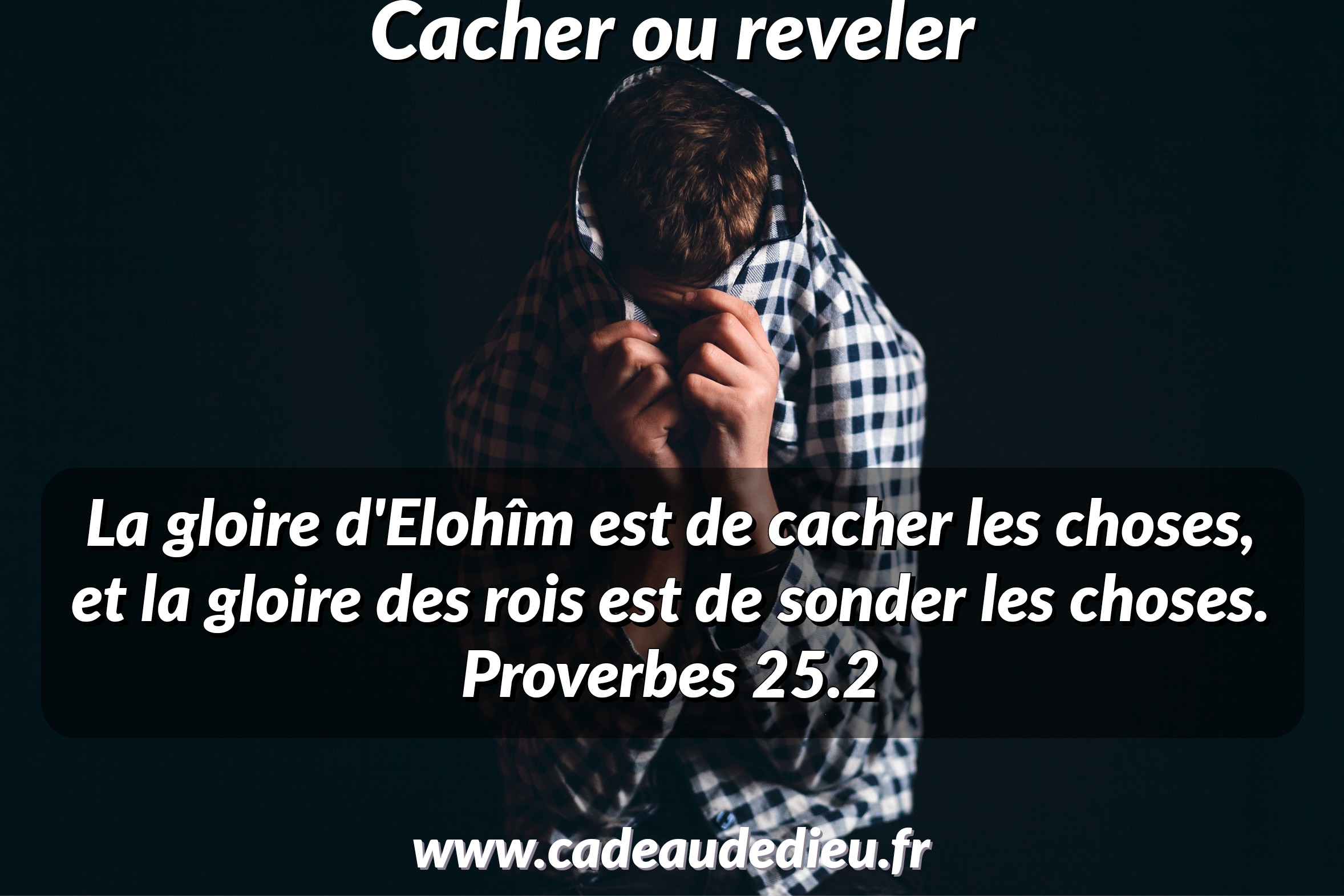 Cacher ou révéler