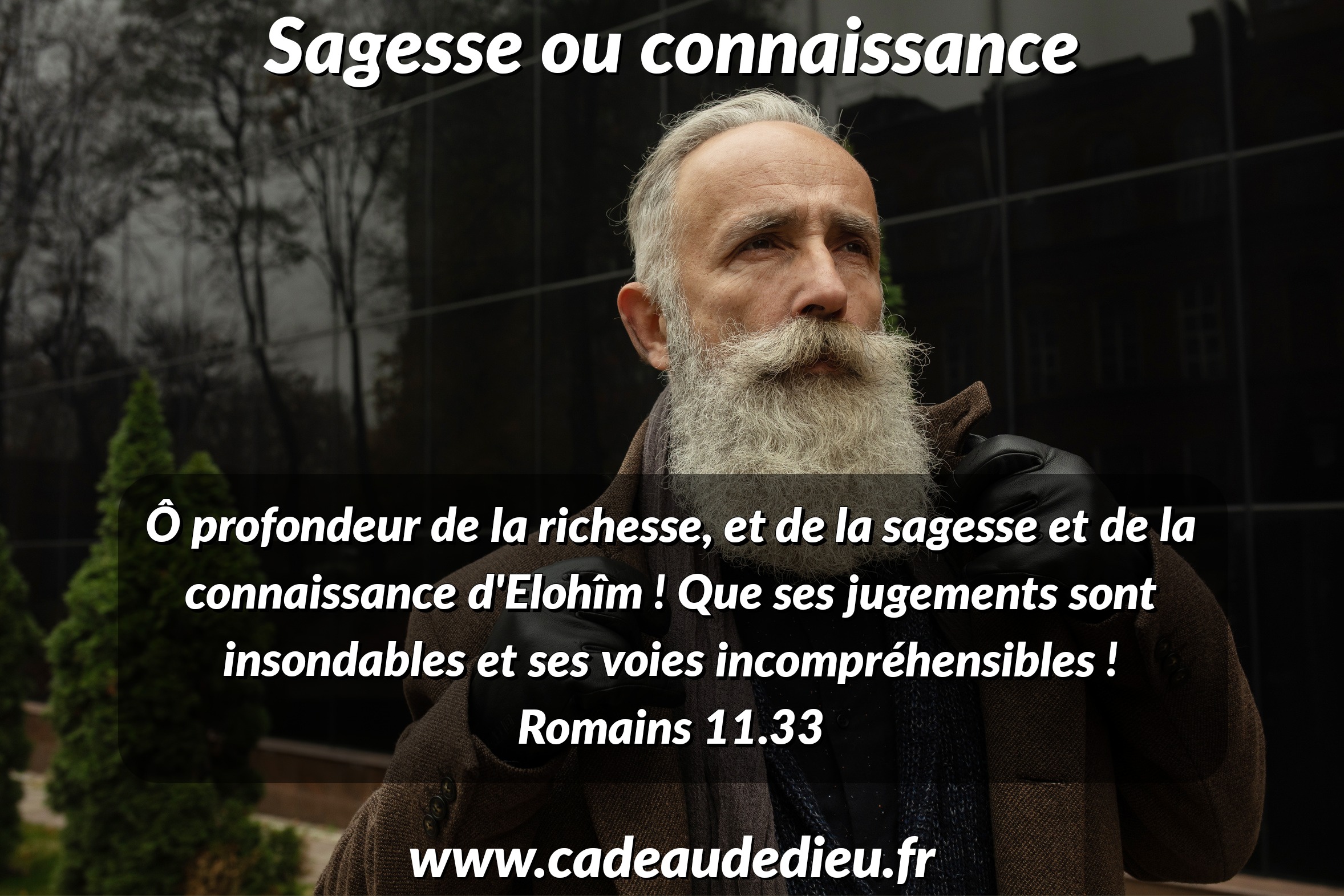 Sagesse et connaissance