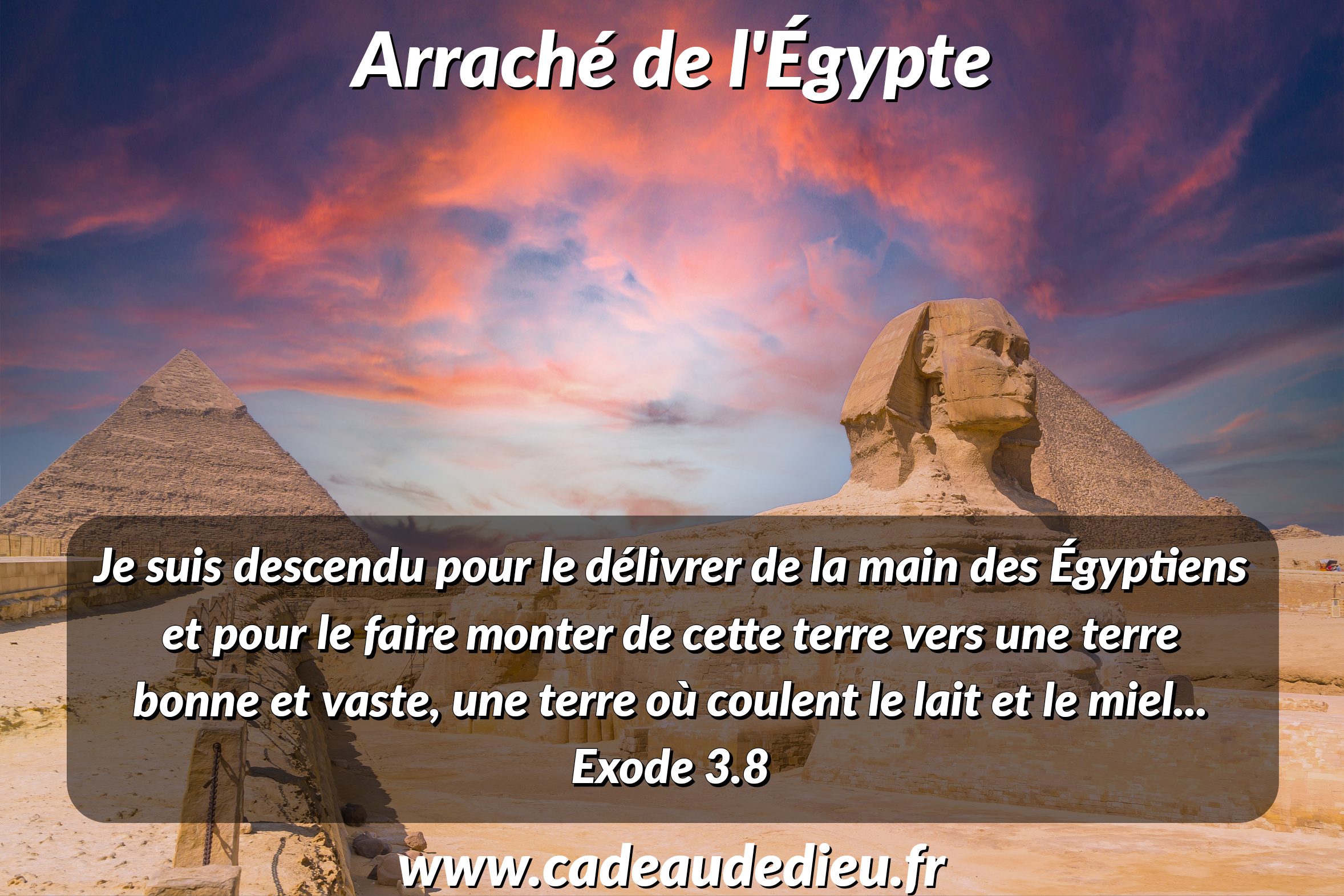Arraché de l'Égypte