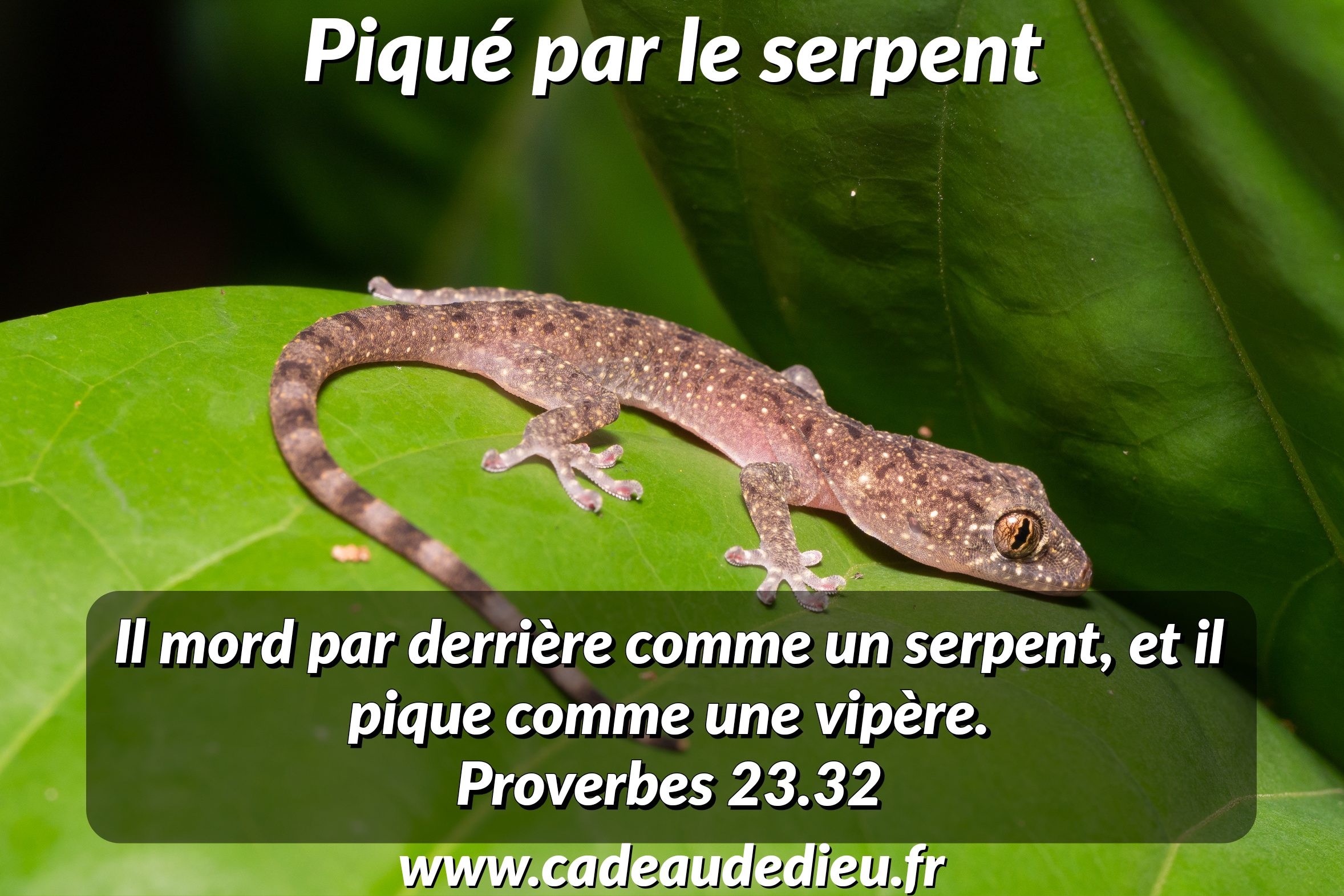 Piqué par le serpent