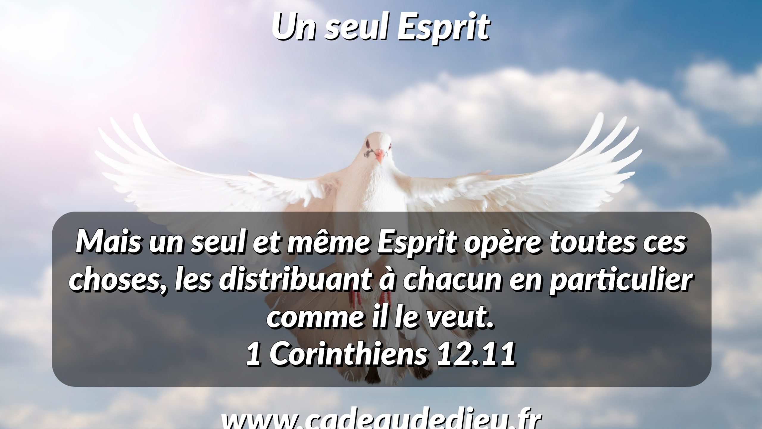 Un seul Esprit