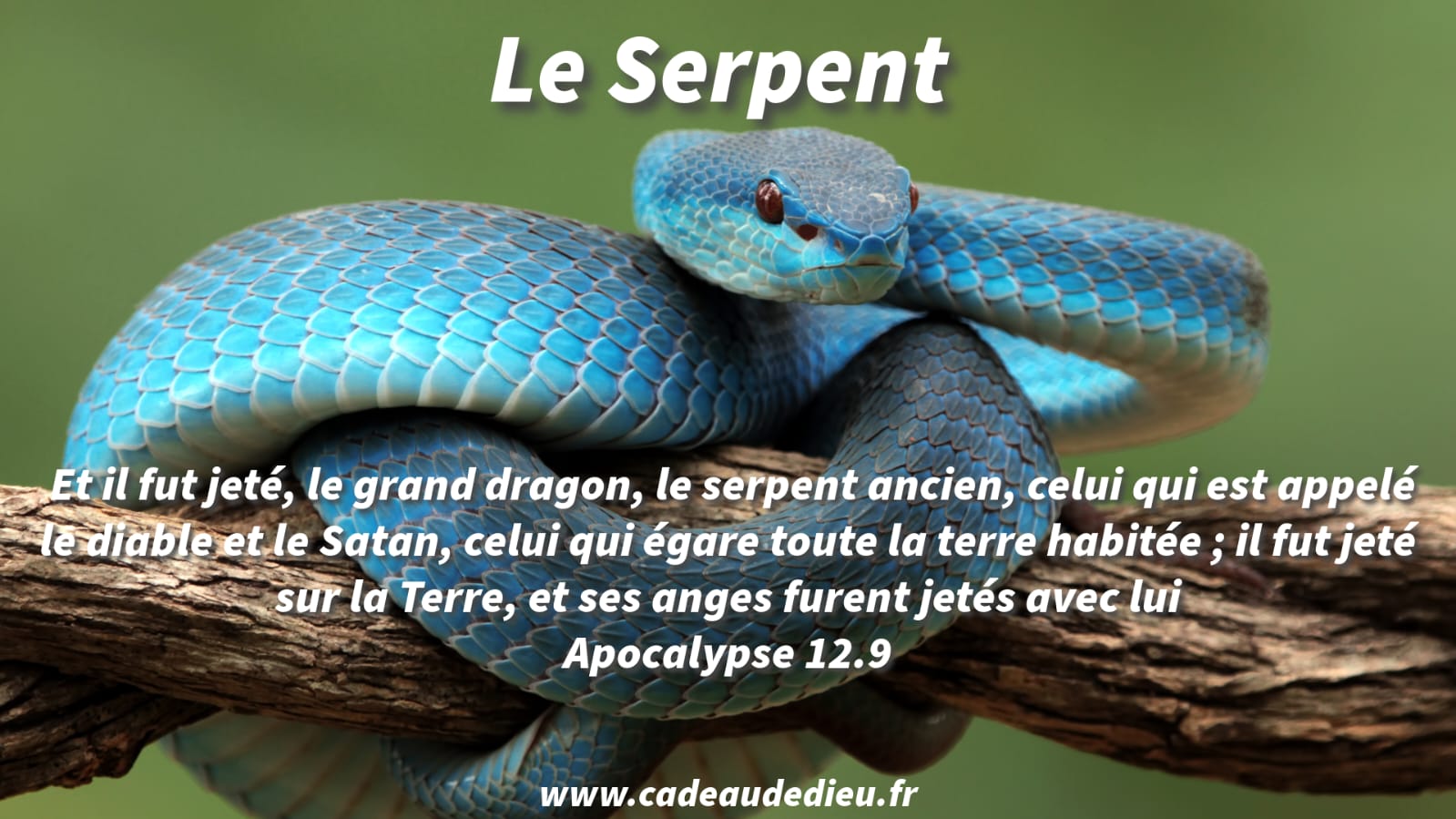 Le Serpent