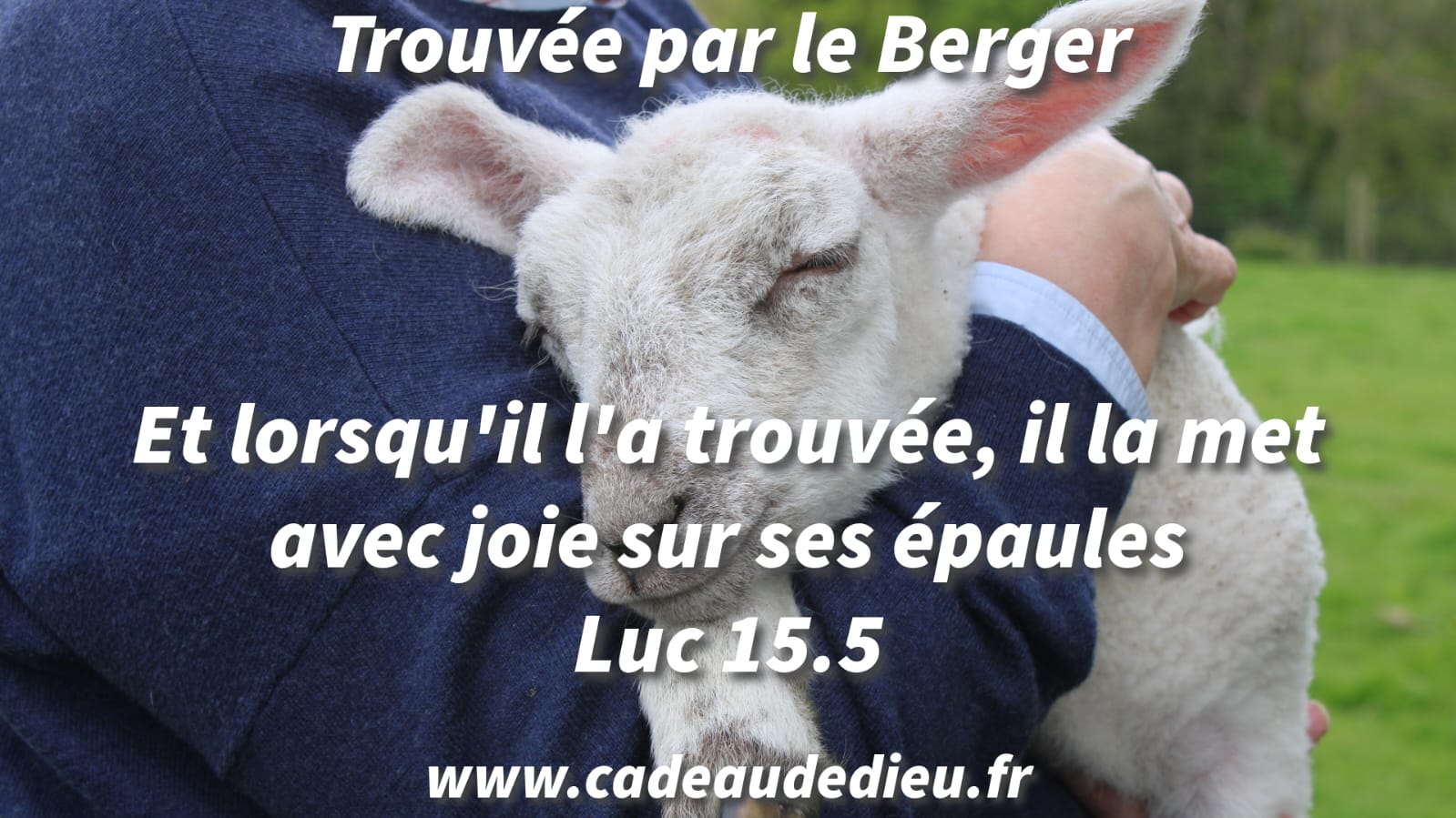 Trouvée par le Berger
