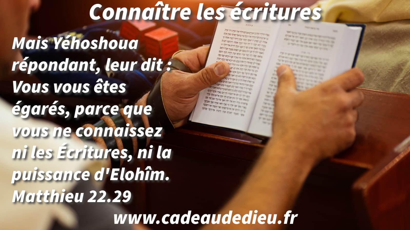 Connaître les écritures